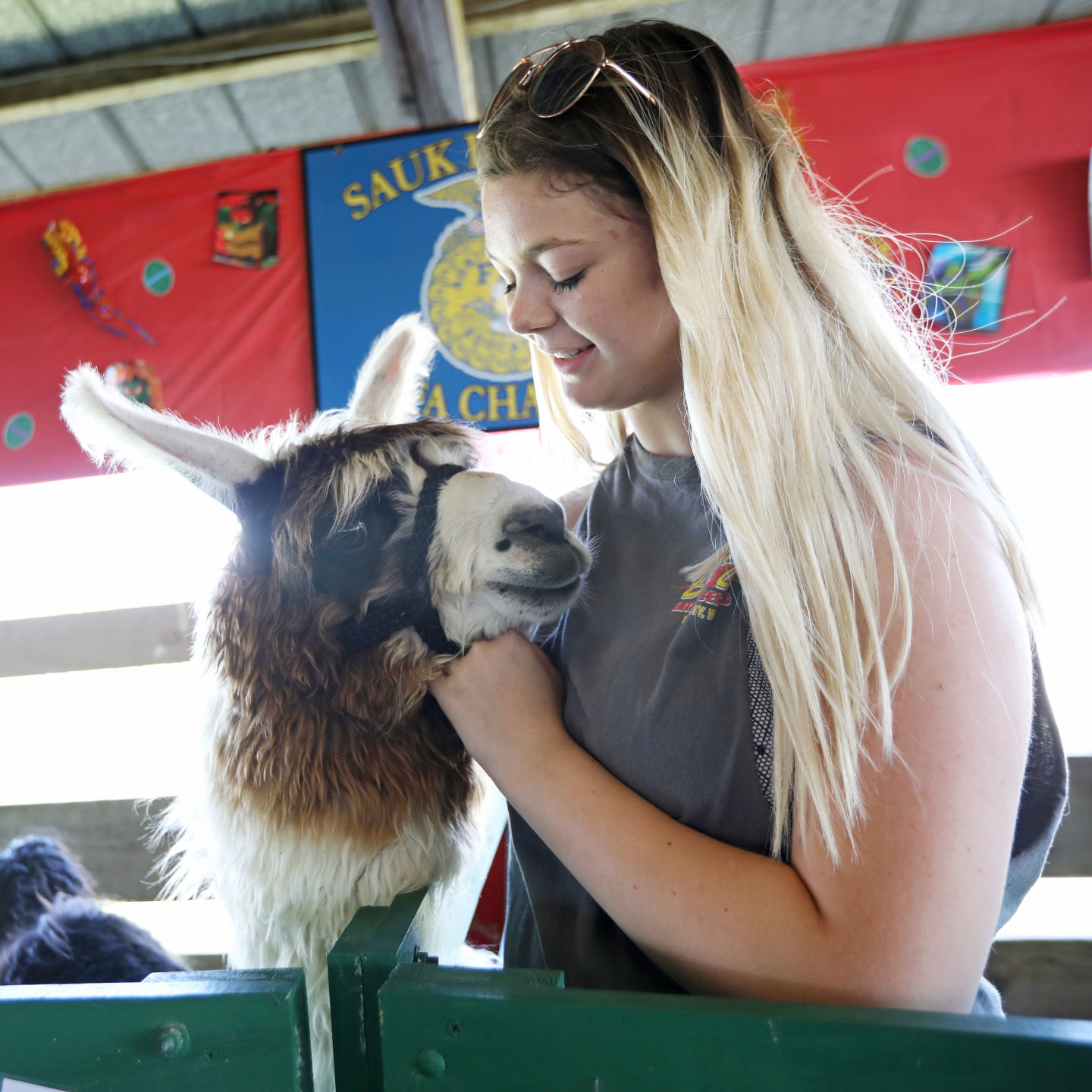 Sauk County Fair